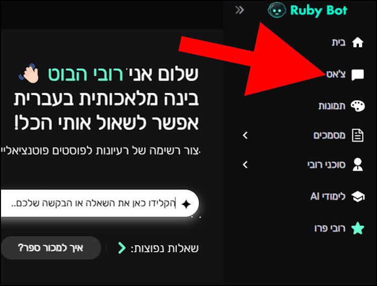 צ'אט עם רובי הבוט
