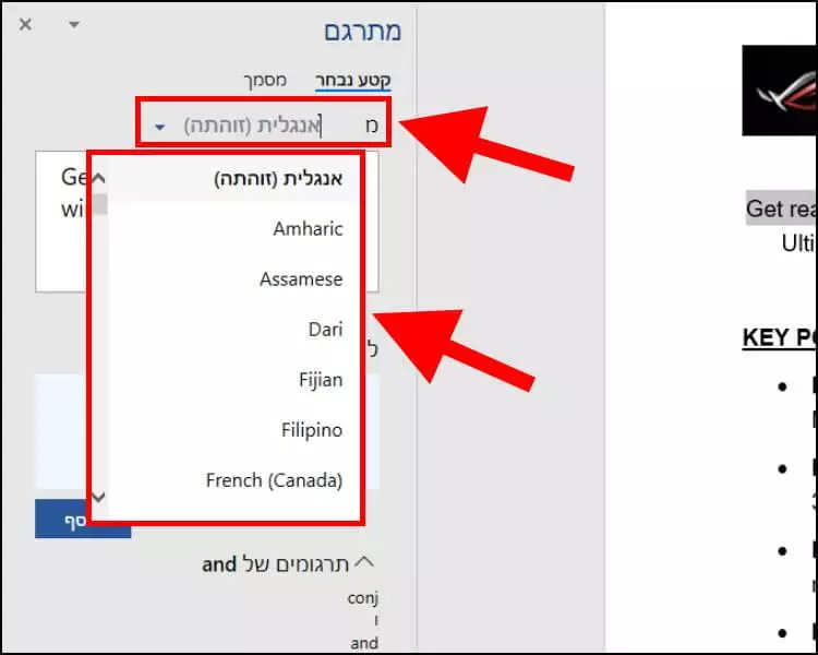 שינוי שפת הטקסט בתוכנת וורד