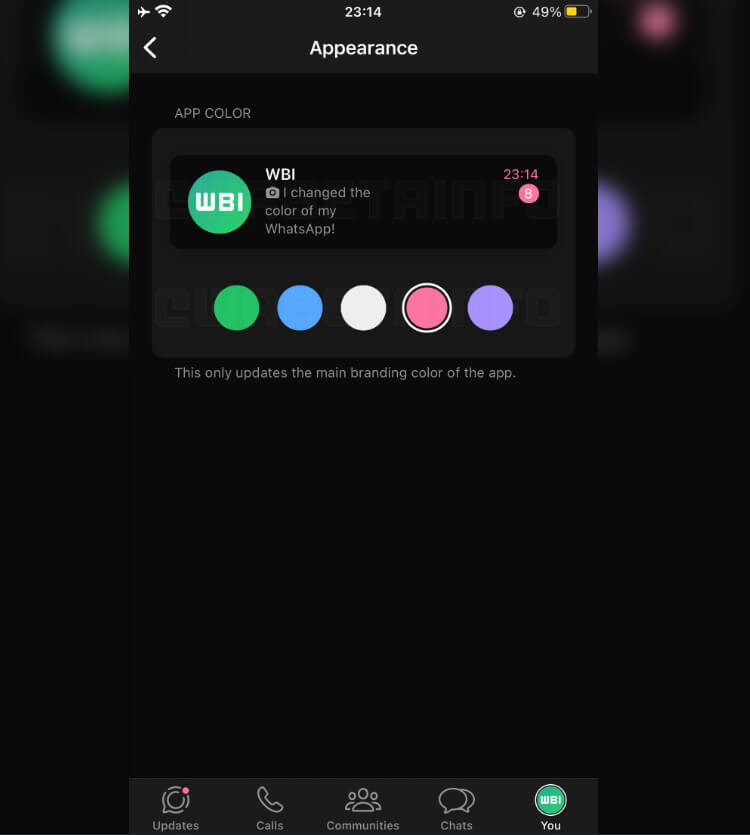 צילום מסך מבטא של וואטסאפ הכוללת את האפשרות להחלפת הצבע של ערכת הנושא באפליקציה