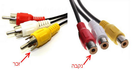 חיבור RCA זכר ונקבה