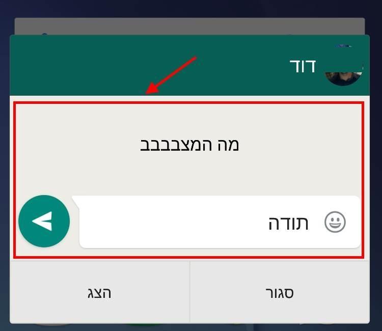 תגובה מיידית whatsapp