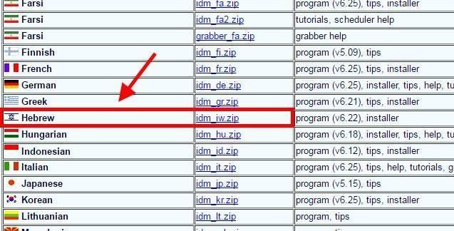 עברית לתוכנה idm