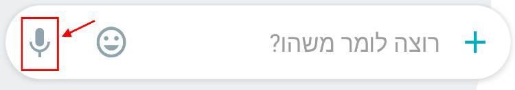 צ'אט קולי עם גוגל