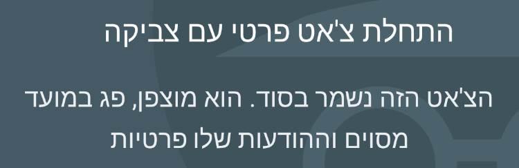 צ'אט פרטי Google Allo