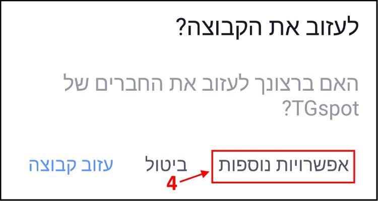 אפשרויות נוספות