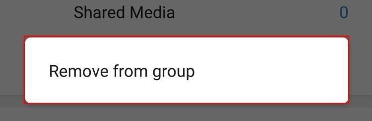הסרת חברת מקבוצת הטלגרם Telegram