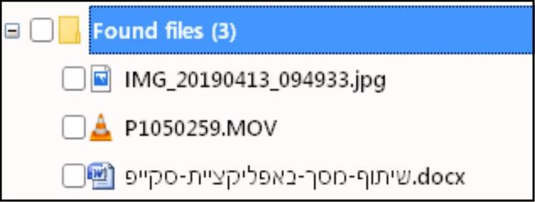 התוכנה מצאה את הקבצים שנמחקו