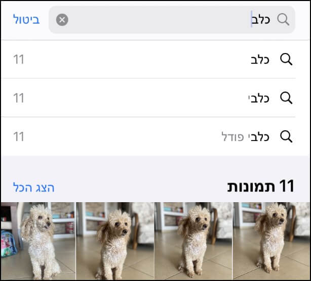 תמונות הקשורות למילים שחיפשתם בתוצאות החיפוש