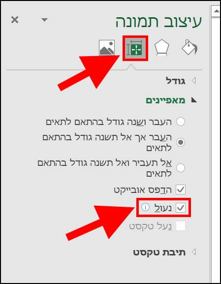 נעילת תמונה בתוך תא באקסל