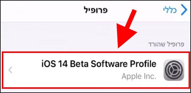 לחצו על הפרופיל של iOS 14