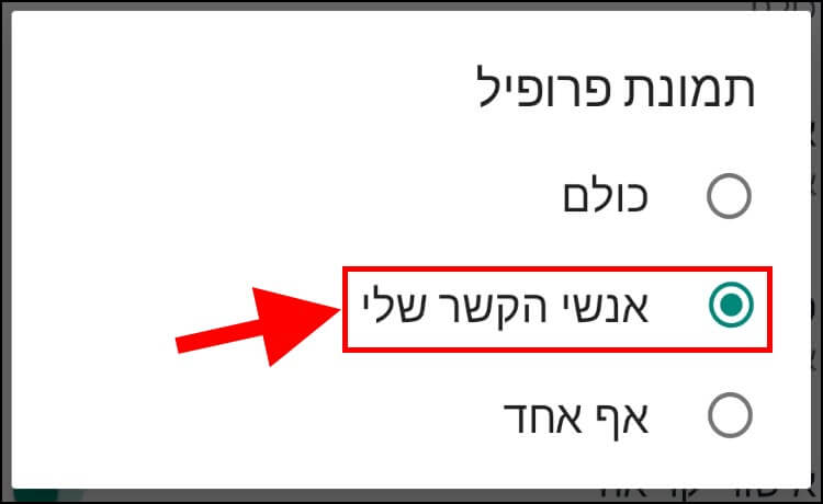 הגדירו מי יכול לראות את תמונת הפרופיל שלכם