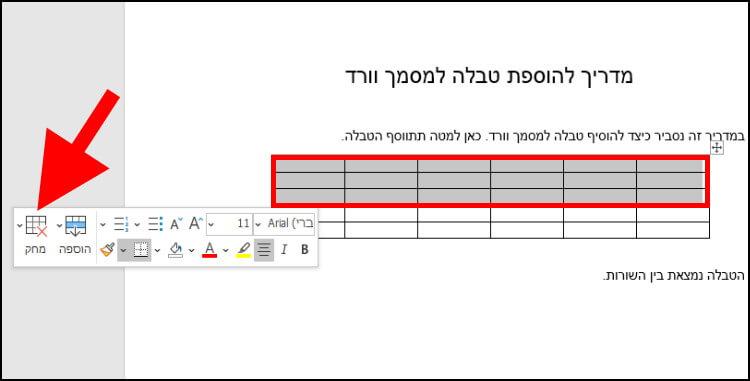 מחיקת עמודות או שורות מהטבלה