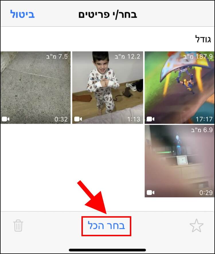 סימון כל התמונות למחיקה