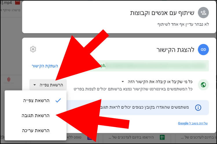 בחרו את ההרשאות הרצויות לשיתוף הקבצים - הרשאת צפייה, הרשאת תגובה או הרשאת עריכה