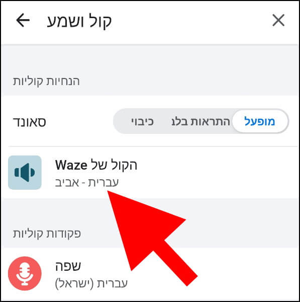 שינוי הקול של ווייז