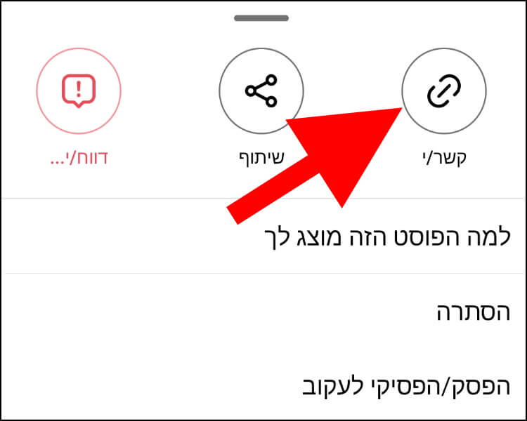 לחצו על האפשרות קשר כדי להעתיק את הקישור של הסרטון רילס