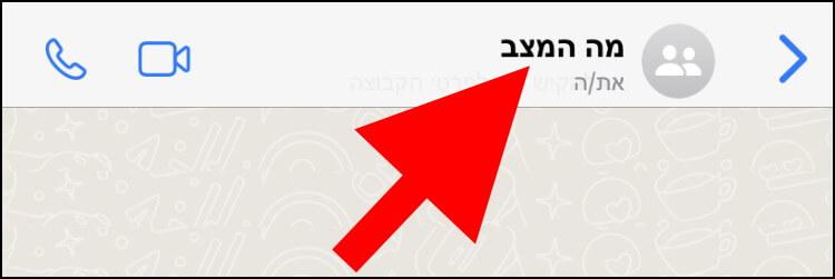 לחצו על השם של קבוצת הוואטסאפ באייפון