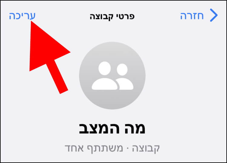 בחלון פרטי קבוצה, לחצו על האפשרות עריכה