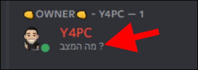 כך נראה סטטוס בפרופיל בדיסקורד