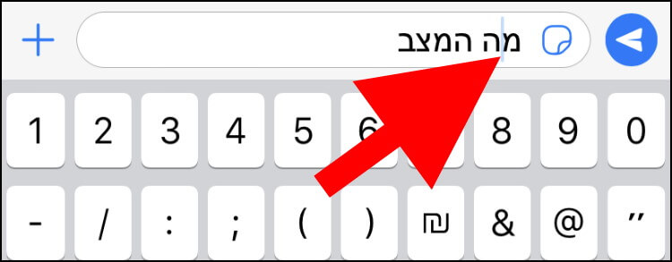 מקמו את הסמן אחרי האות שאתם מעוניינים לנקד