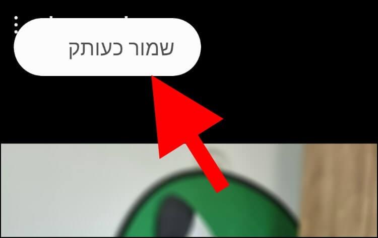 לחצו על שמור כעותק כדי לשמור את התמונה החדשה כעותק