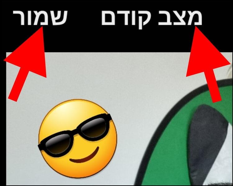 לחצו על "שמור" כדי לשמור את התמונה או על "מצב קודם" כדי לבטל את השינויים שביצעתם