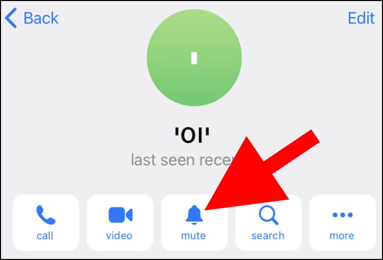 באפליקציית טלגרם המותאמת לאייפון לחצו על האפשרות mute כדי להשתיק את הצ'אט