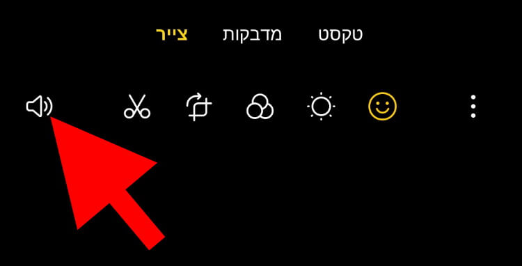 לחצו על הסמל של הרמקול כדי להוסיף מוזיקה לסרטון