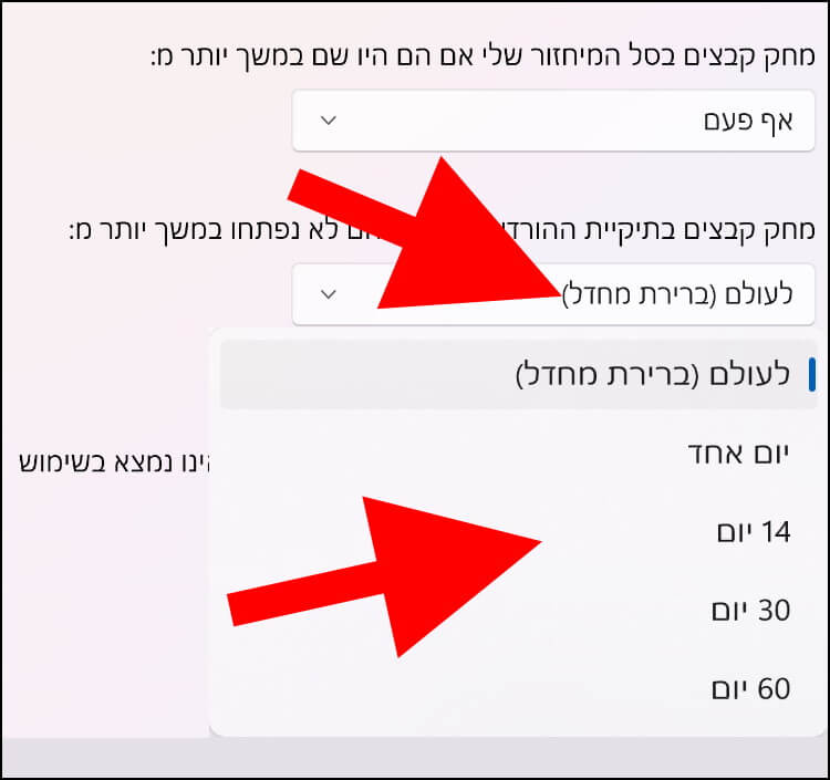 מחיקת קבצים מתיקיית ההורדות באופן אוטומטי