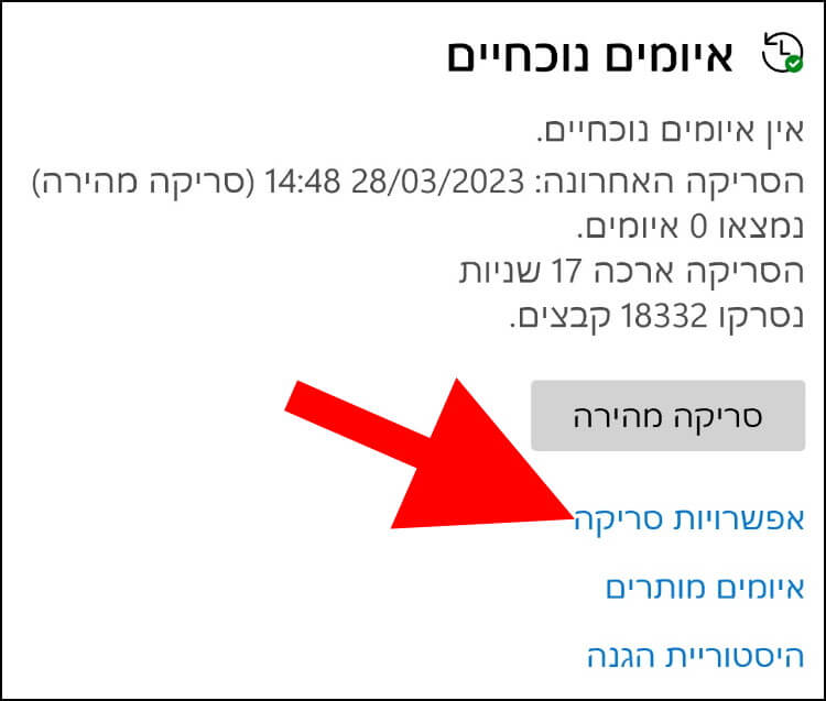 לחצו על אפשרויות סריקה כדי לבחור בסריקות וירוסים מסוג אחר