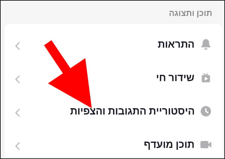 היסטוריית התגובות והצפיות בטיקטוק