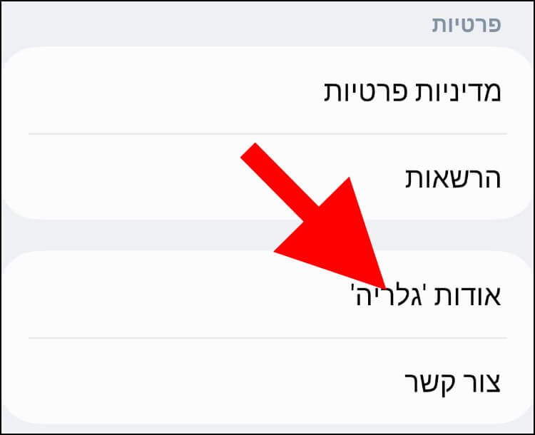 אודות גלריה בגלקסי