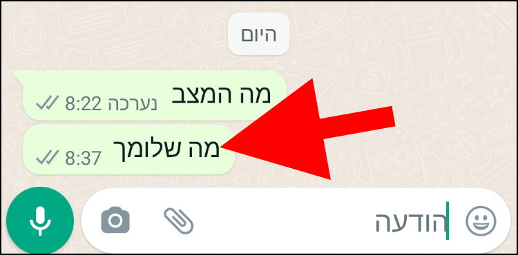 בוואטסאפ, לחצו לחיצה ארוכה על ההודעה שאתם רוצים לערוך