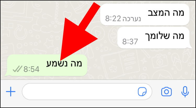 באייפון לחצו לחיצה ארוכה על הודעת הוואטסאפ שתרצו לערוך