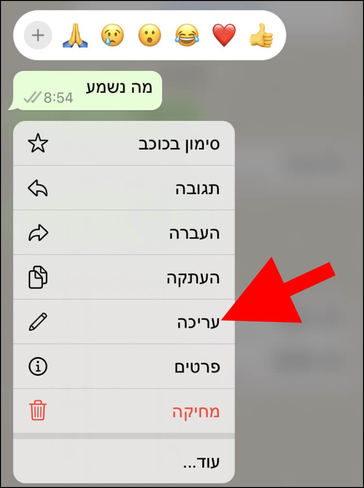 באפליקציית וואטסאפ המותאמת לאייפון, לחצו על עריכה