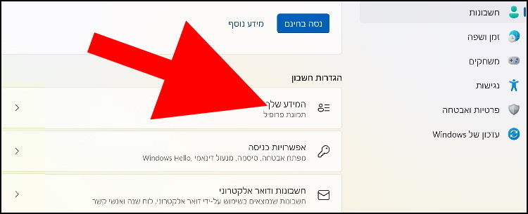 הגדרות המידע שלך ב- Windows 11