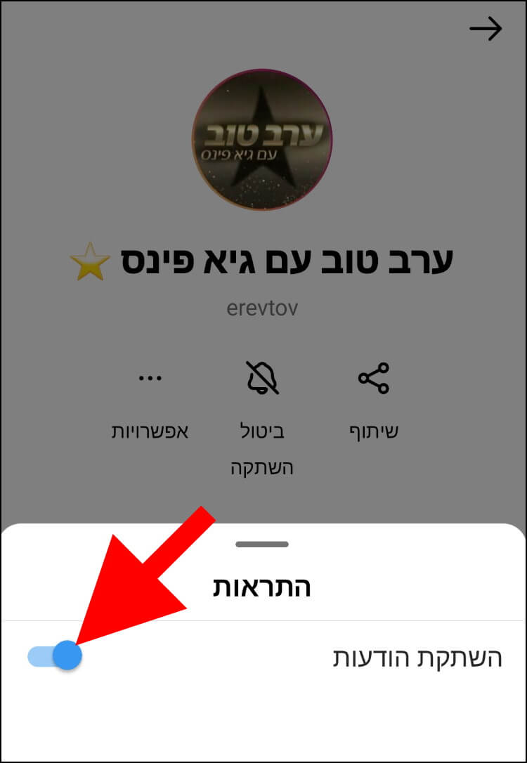 השתקת הודעות בערוץ שידור באינסטגרם