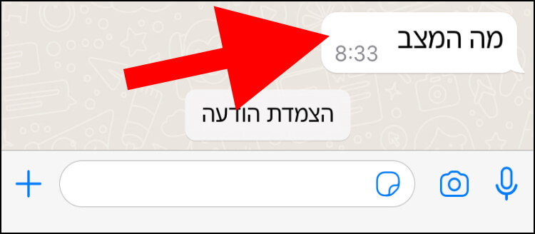 באייפון, לחצו לחיצה ארוכה על ההודעה