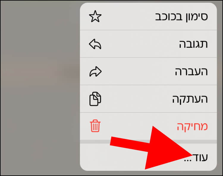 באפליקציית וואטסאפ לאייפון, לחצו על 'עוד'