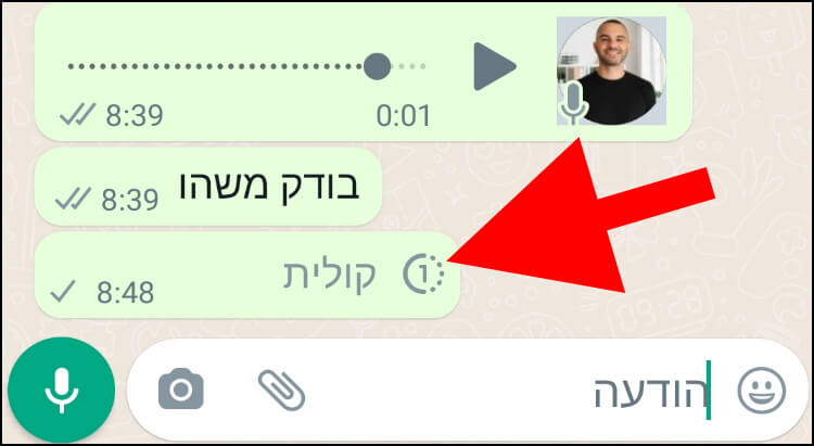 כך נראית הודעה קולית חד פעמית בוואטסאפ