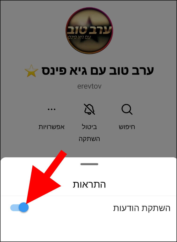 לחצו על השתקת התראות כדי לכבות את ההתראות הנשלחות מערוץ השידור באינסטגרם