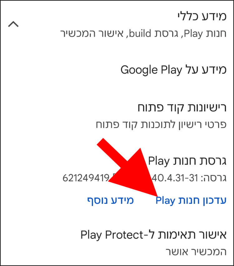 עדכון חנות Google Play