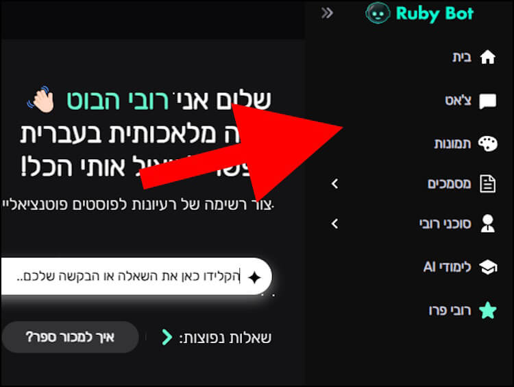 האפשרויות שרובי הבוט מציע למשתמשים