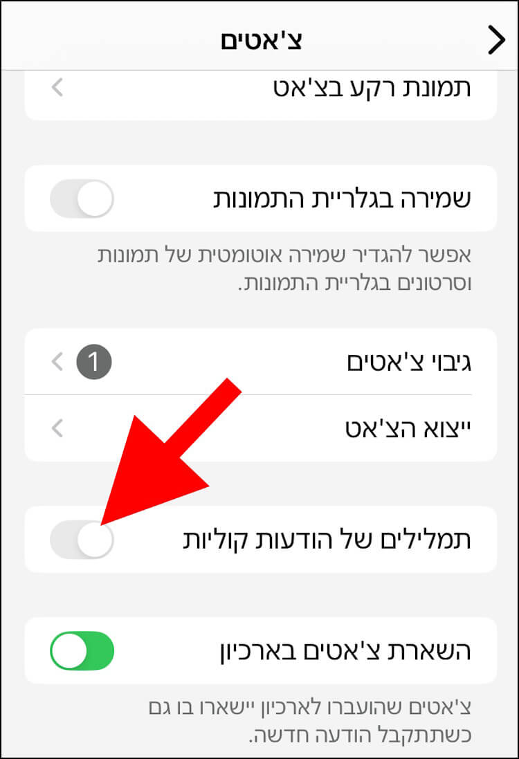 האפשרות תמלילים של הודעות קוליות באפליקציית וואטסאפ לאייפון