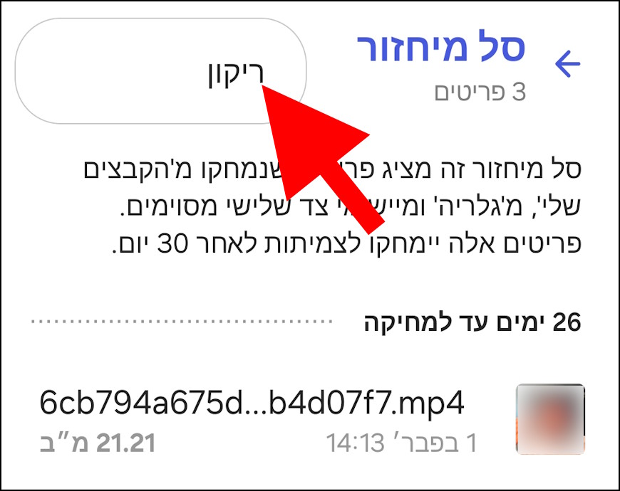 ריקון סל מחזור