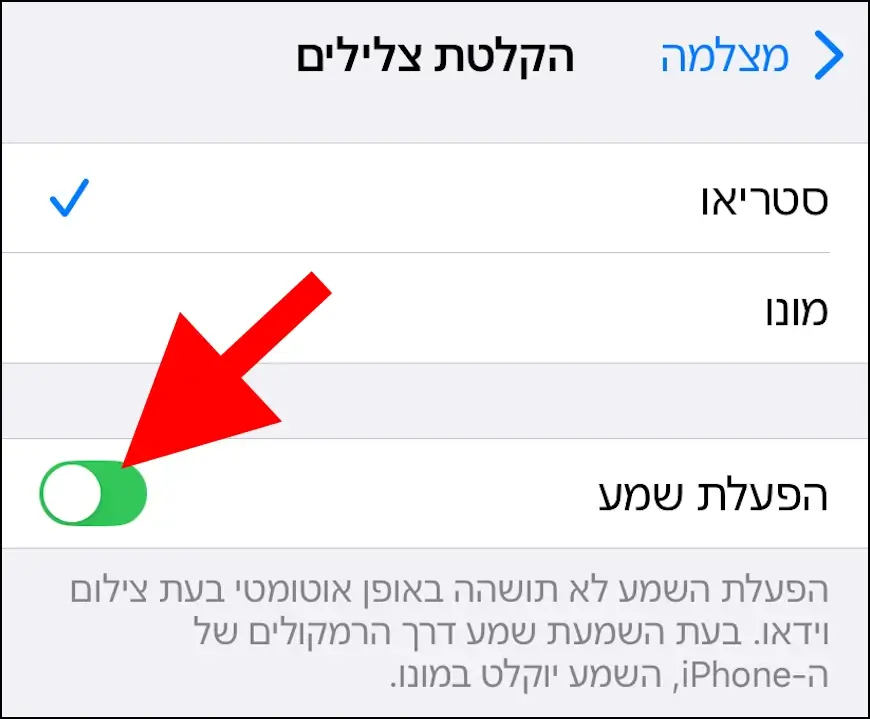 הפעלת שמע בזמן הקלטת צלילים